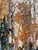 Aspen Stand by Robert Moore | Oil on Panel Painting of aspen trees in a forest setting For Sale - Image 4 of 4