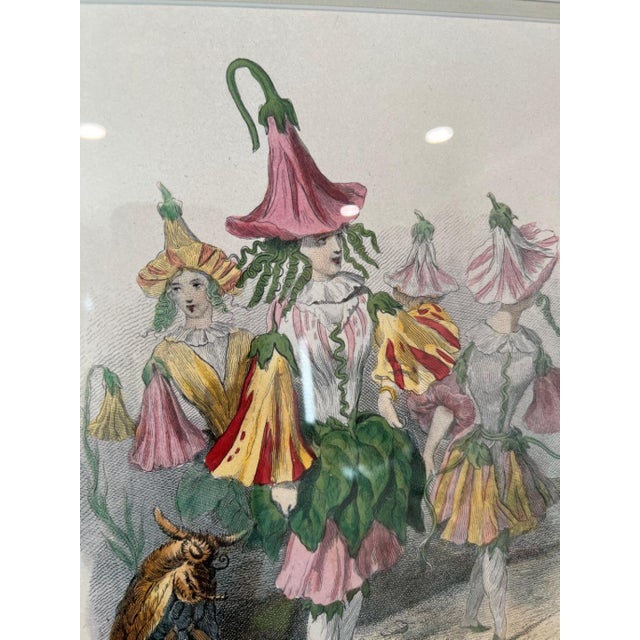 Grandville Belle-De-Nuit Hand-Colored Engraving Les Fleurs Animees For Sale - Image 10 of 15