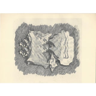 Giorgio Morandi, Still Life with Shells, 1930-1957, Lithograph For Sale