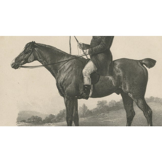 Cream Maxim Gauci, Spankaway, Celebrated British Racehorse, Lithograph, 1840 For Sale - Image 8 of 10