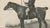 Cream Maxim Gauci, Spankaway, Celebrated British Racehorse, Lithograph, 1840 For Sale - Image 8 of 10