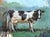 Matthew Paoletti "WI. Dairy Cow" Contemporary Naturalistic Rural Animal Painting of a Cow, 2022 For Sale