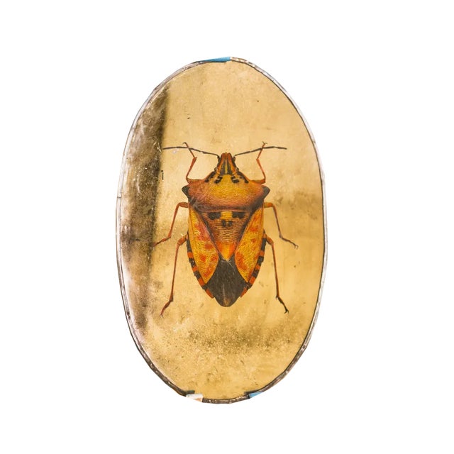 Industrial Mirrored Y Beetle Decorative Object from Unique Mirrors For Sale