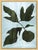 Susan Hable is a renowned artist and designer based in Athens, Georgia, known for her bold and colorful works. Co-founder...