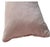 2020s Dransfield & Ross Ny Set (2) Lumbar Pillows Wool / Feather Coral Ivory For Sale - Image 5 of 12