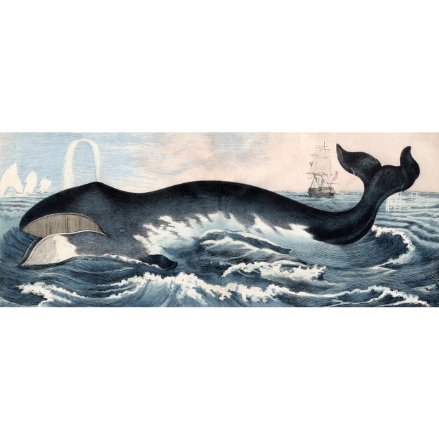 Illustration Contemporary Reproduction Prints After Illustrations From the 1850's, Pair of 2 For Sale - Image 3 of 7