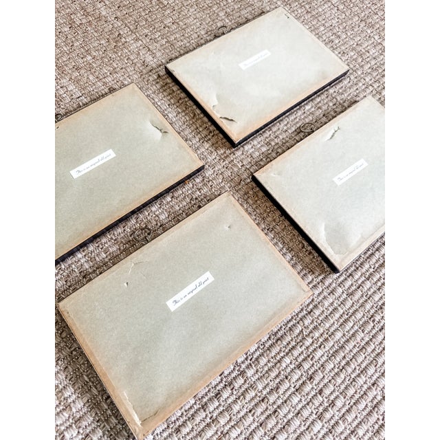 Paper Set of Four Rare Antique Alexander Francis Lydon Framed Bird Prints | Original Victorian Hand-Colored Ornithological Engravings For Sale - Image 7 of 7