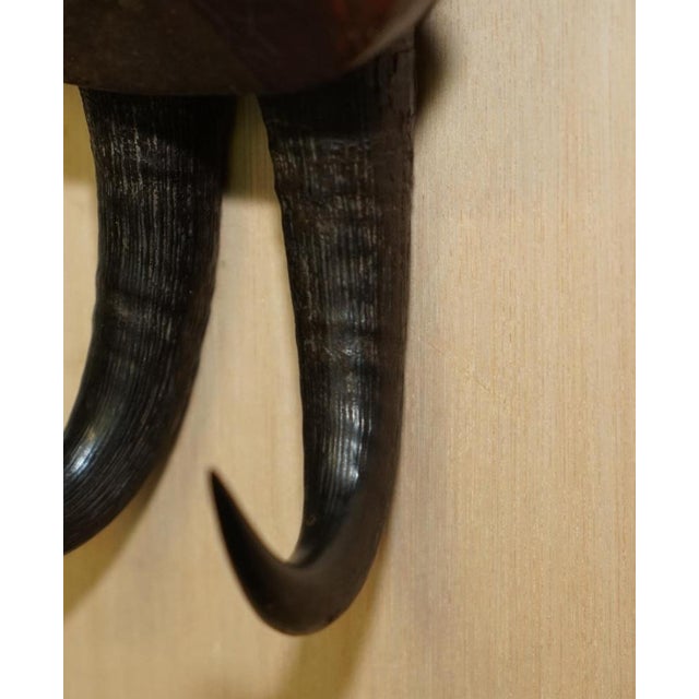 Antique Black Forest Hand-Carved and Painted Whip Hook, 1880 For Sale - Image 12 of 15