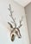 Modern Large Modernist Cast Polished Metal Deer Antler Head Wall Sculpture For Sale - Image 3 of 15
