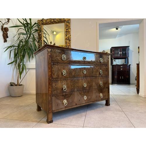 Biedermeier Chest of Drawers in Walnut For Sale - Image 5 of 18