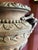 Large 17th Century Antique Terracotta Jardinière with Medusa Handle, Italy For Sale - Image 9 of 18