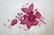 1970s Openwork Porcelain Bowl from Herend Factory, Hungary, 1970s For Sale - Image 5 of 12