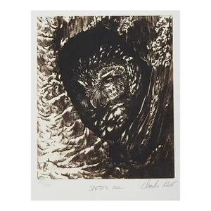 Vintage Spotted Owl Etching