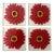 Late 20th Century Retro Handpainted Red Zinnia Flower Glass Coasters, Signed For Sale