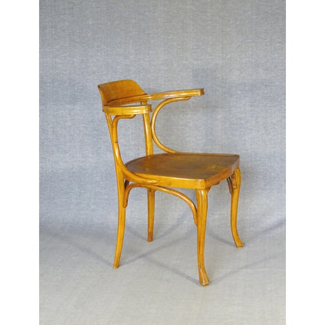 Wood No. 713 Office Chair in Bentwood from Jacob & Josef Kohn, 1905 For Sale - Image 7 of 11