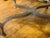 Wood Vintage Louis XV Style Upholstered Window Bench For Sale - Image 7 of 12
