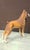 Boxer Figurine from Vaga Internacional, 1970 For Sale - Image 4 of 9