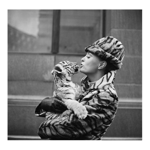 'Tiger Lady' Unframed Archival Pigment Print For Sale