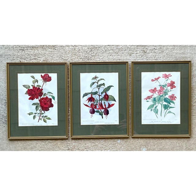 French Country Vintage Botanical Floral Prints in Gilt Frames - Set of 3 For Sale - Image 3 of 16