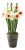 Potted Paper Daffodils For Sale