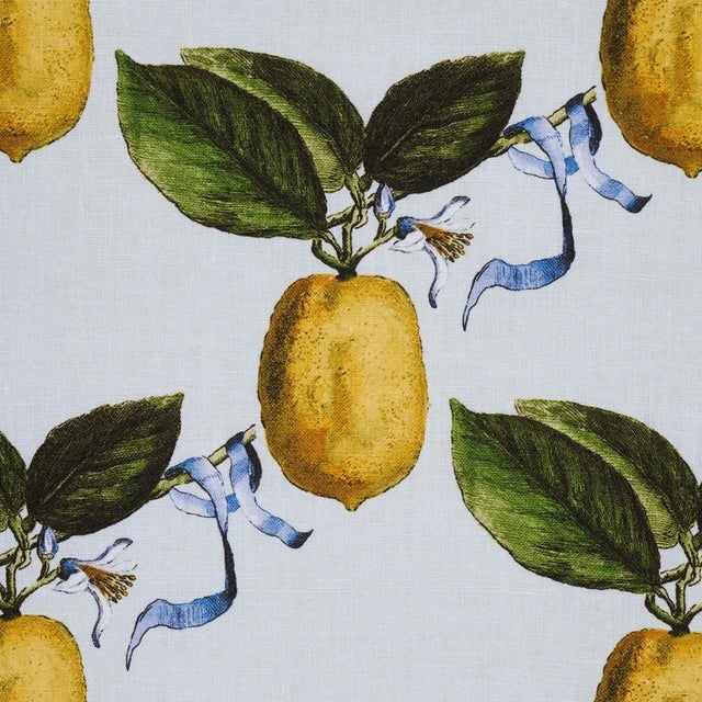 Contemporary Schumacher x Johnson Hartig Le Citron Fabric in Sky For Sale - Image 3 of 5