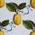 Contemporary Schumacher x Johnson Hartig Le Citron Fabric in Sky For Sale - Image 3 of 5