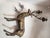 Beautiful Solid Brass Stag Candleabra For Sale In Seattle - Image 6 of 11