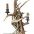 Pair of Fallow Deer Antler Sconces For Sale - Image 10 of 13