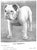 Traditional "Bull Dogs and Bulldog Men" 1905 Cooper, H. St. John For Sale - Image 3 of 12