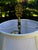 Vintage Knob Creek Mahogany Floor Lamp Table For Sale - Image 4 of 7