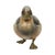 Duck Figurine in Resin and Brass from Malevolti, Italy, 1970s For Sale - Image 3 of 10