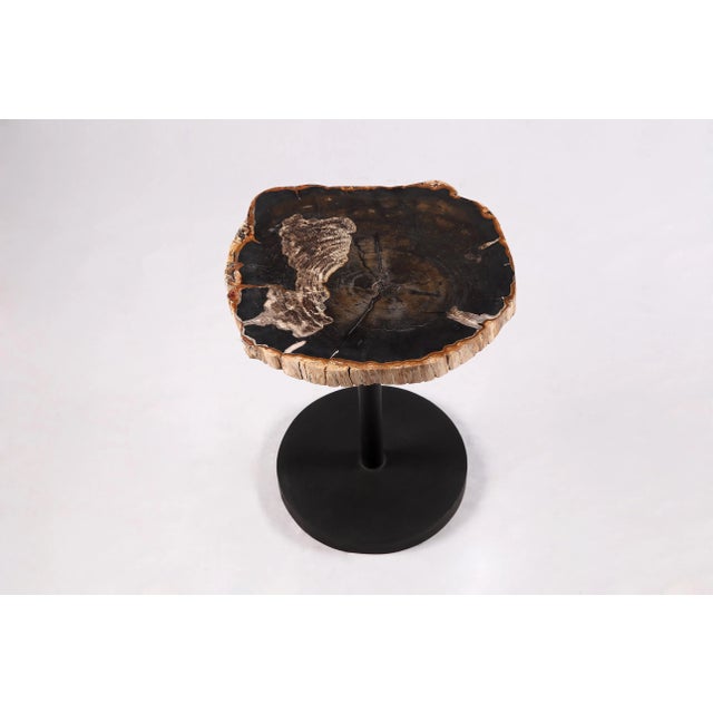 The top of this modern accent side table is made of one slice of organic petrified wood, hand polished to show its...