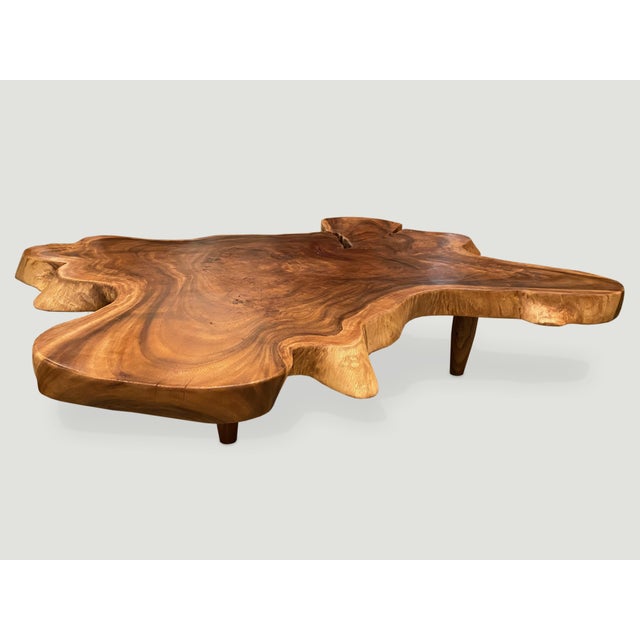Contemporary Andrianna Shamaris Amorphous Suar Wood Coffee Table For Sale - Image 3 of 6