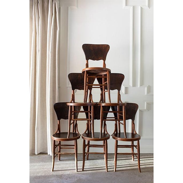 Shabby Chic Antique Bentwood Cafe Chairs in the Style of Micheal Thonet , Set of 6 For Sale - Image 3 of 16
