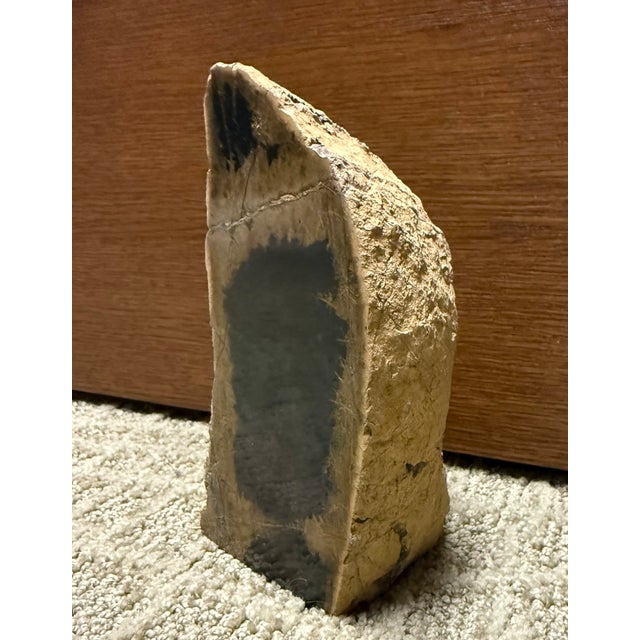 Rustic Fossilized Wood Decorative Piece, Lovely Figures and Colors For Sale - Image 3 of 6