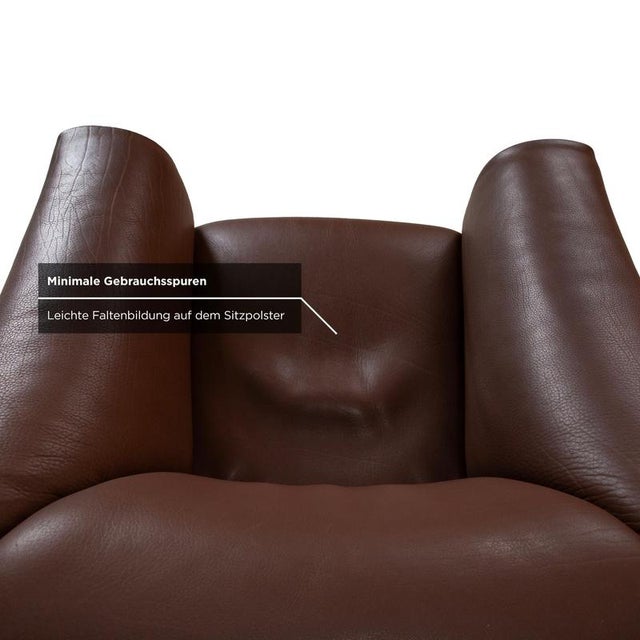 Animal Skin DS-47 Lounge Chair in Brown Leather from de Sede For Sale - Image 7 of 14