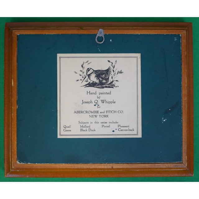 Mid 20th Century Abercrombie & Fitch X Joseph Q. Whipple Canvas-Back Duck Diorama For Sale - Image 5 of 5