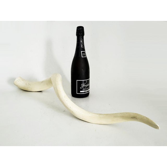 Bone Vintage African Kudu Horn Antler For Sale - Image 7 of 10