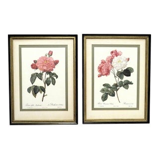 Pair of P. J. Redoute French Botanical Still Life Roses Framed Lithographs Prints Floral Flowers Pink & White For Sale