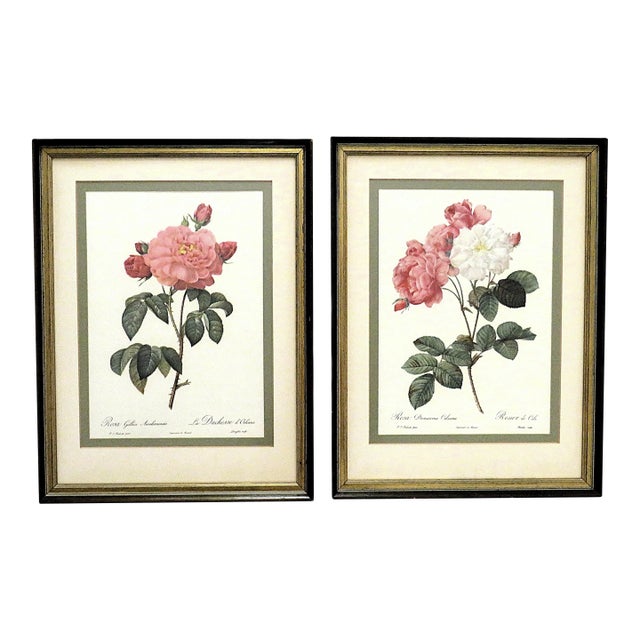 Pair of P. J. Redoute French Botanical Still Life Roses Framed Lithographs Prints Floral Flowers Pink & White For Sale