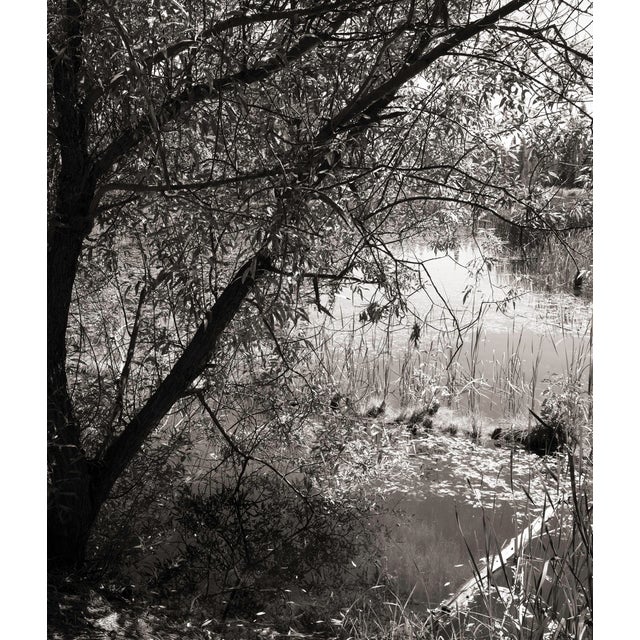 This digital archival print size is 18" x 12" printed on 19" x 13" Vibrance Matte Paper from Breathing Color in Austin,...