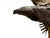 Late 20th Century Monumental Lubomir Tomaszewski Signed Wood and Copper Bird Sculpture Seven Feet Tall For Sale - Image 10 of 18