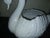 Gorgeous White Swan 1960s ceramic planter. Bought in Germany, no markings. Very pretty figural planter, great used as a...