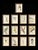 Antique Botanical Chromolithographs — “Wild Flowers of America”, Volume I, L. Prang & Co., Boston (C. 1877) Set of 13 For Sale - Image 13 of 17