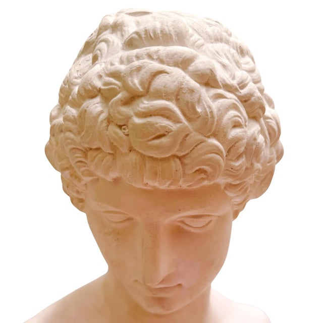 Large Scale Antinous Plaster Bust For Sale In San Diego - Image 6 of 9