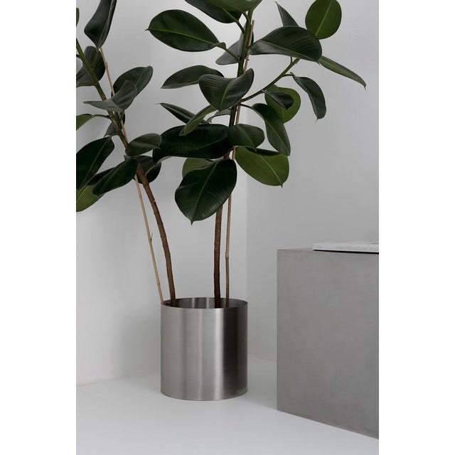 Large Loto Planter in Stainless Steel by Form & Eisen For Sale - Image 18 of 18