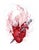 My Vampire Heart by Nana Williams | Watercolor of a bat with a heart and a sword For Sale