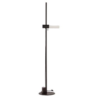 Model Caltha Floor Lamp by G.F. Frattini for Luci, Italy, 1980s For Sale