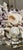 2020s Annalise Shell Decorated Mirror For Sale - Image 5 of 9