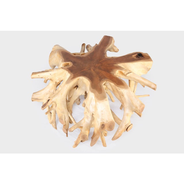Contemporary Round 36" Inch Organic Teak Root Coffee Table 28 For Sale - Image 3 of 6